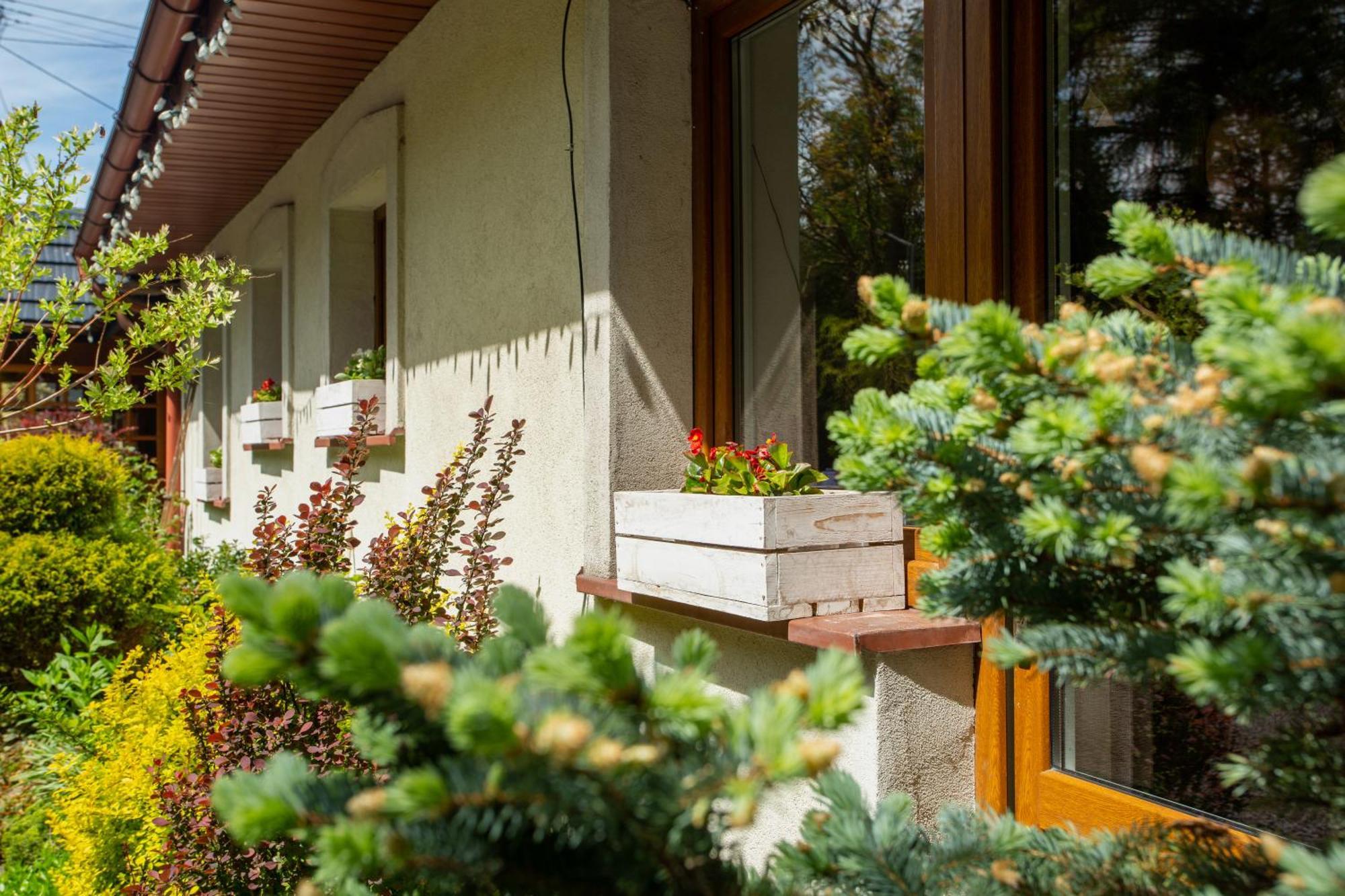 Noclegi Pod Debem U Jakuba Niepołomice Exterior foto